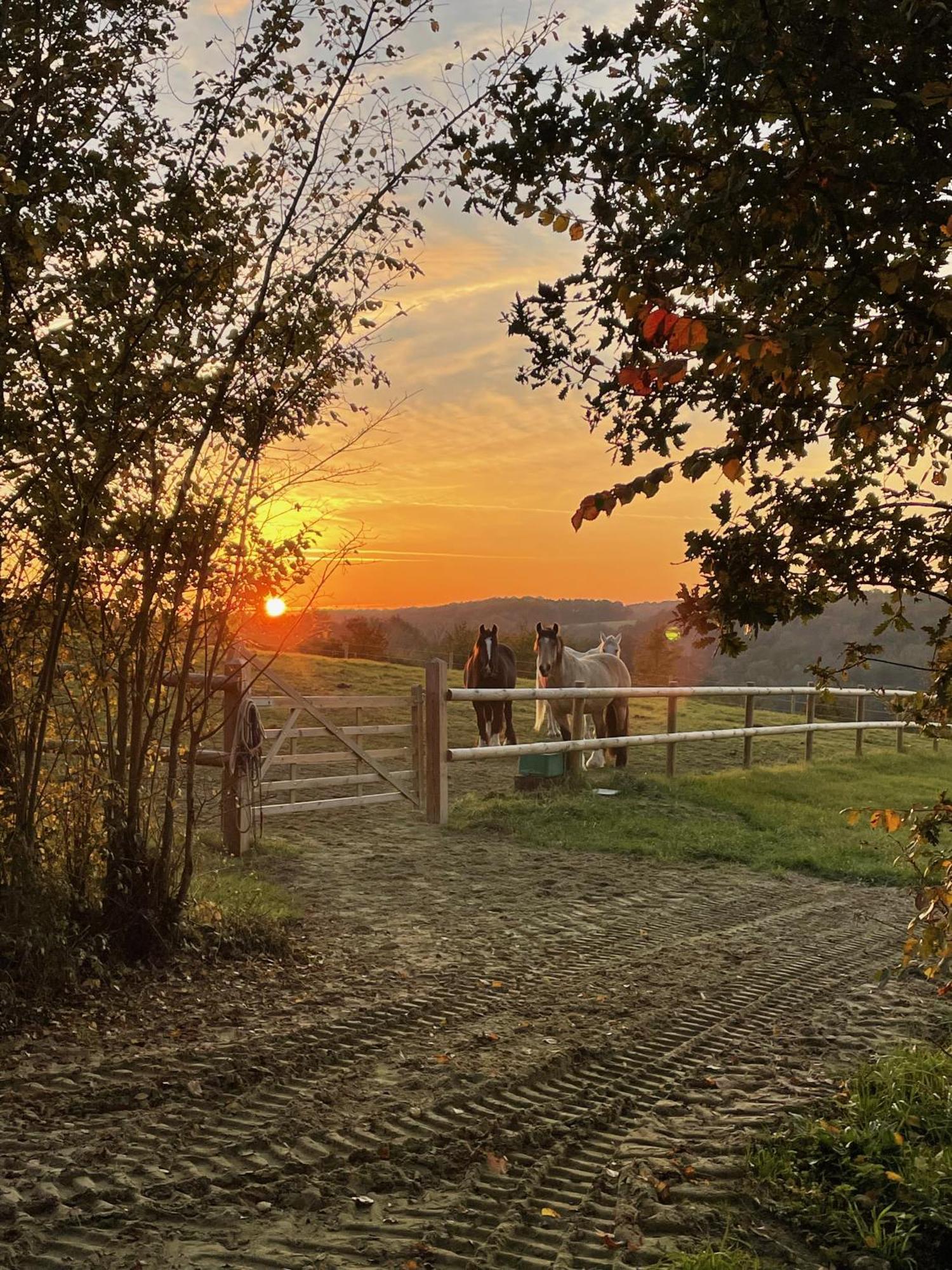 Le Hameau De La Closerie Flere-la-Riviere ภายนอก รูปภาพ