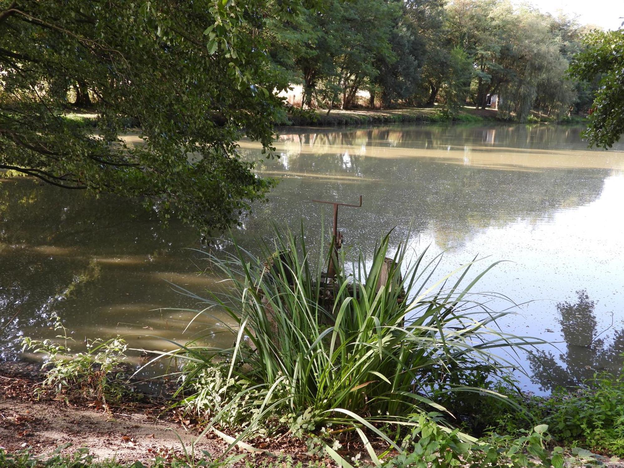 Le Hameau De La Closerie Flere-la-Riviere ภายนอก รูปภาพ