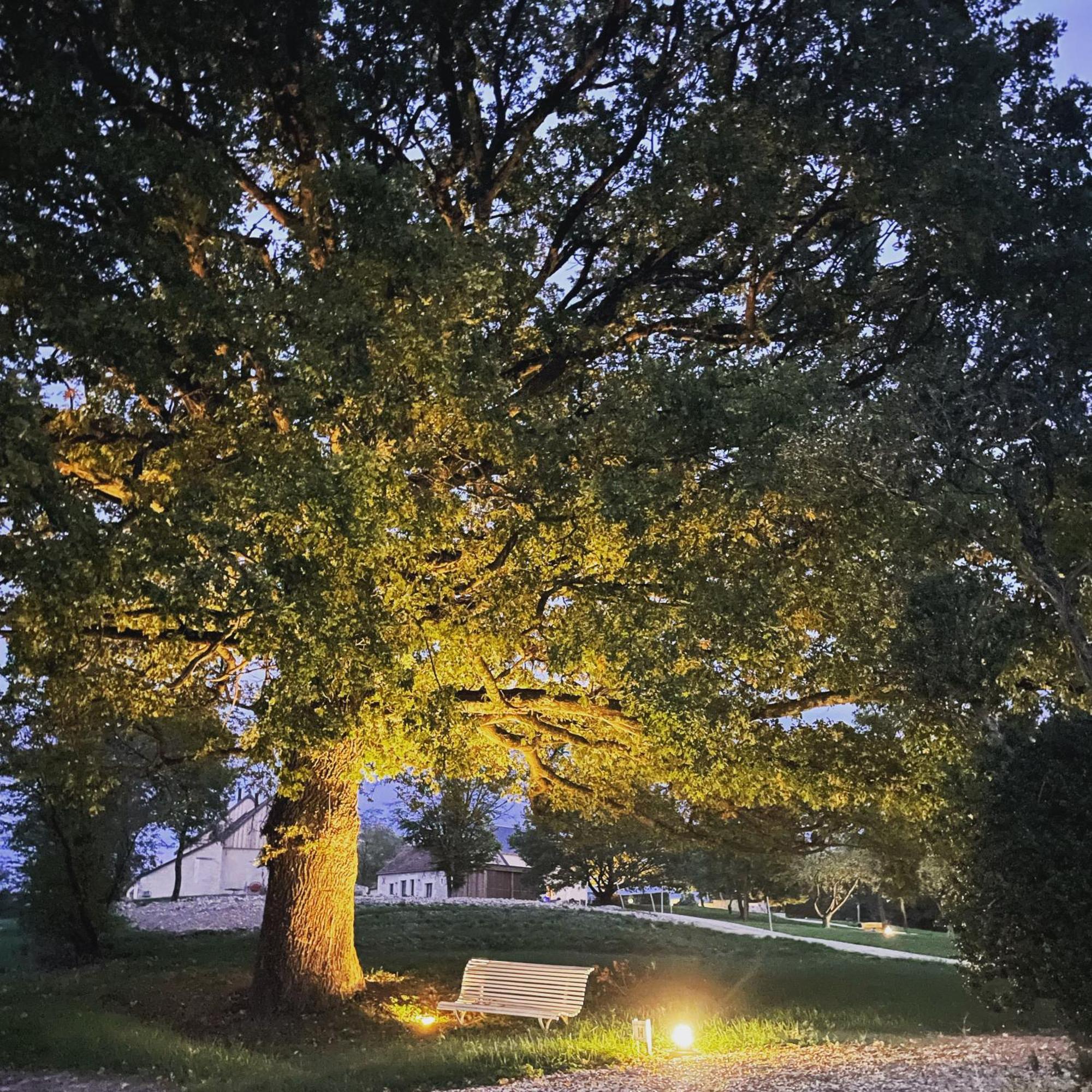 Le Hameau De La Closerie Flere-la-Riviere ภายนอก รูปภาพ